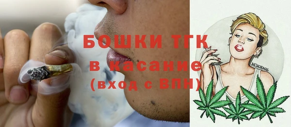 соль ск Козельск