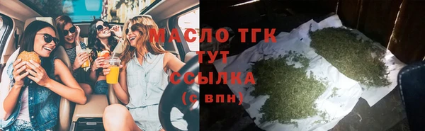 соль ск Козельск