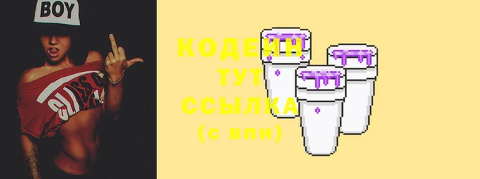 соль ск Козельск
