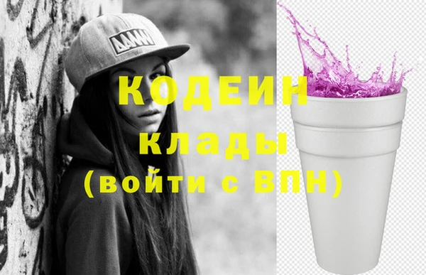 соль ск Козельск
