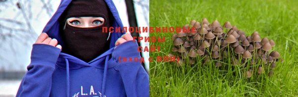 Альфа ПВП Кинешма