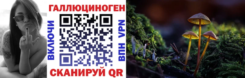 Купить где  Снежногорск  Псилоцибиновые грибы MAGIC MUSHROOMS 